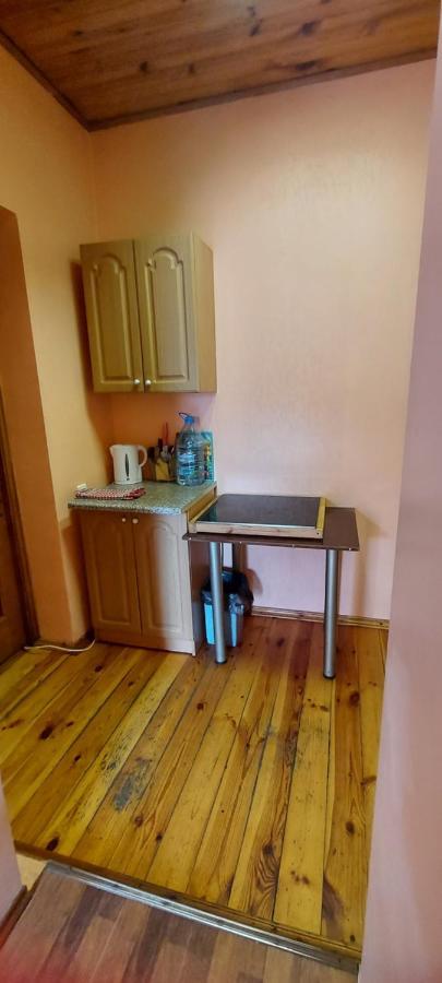 Holiday Home At Fedkovycha St. كييف المظهر الخارجي الصورة